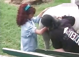 The ass-hole of a horse gets fisted intensely